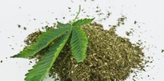 Artis RN Ditangkap Polisi, Kedapatan Miliki Narkoba Jenis Ganja