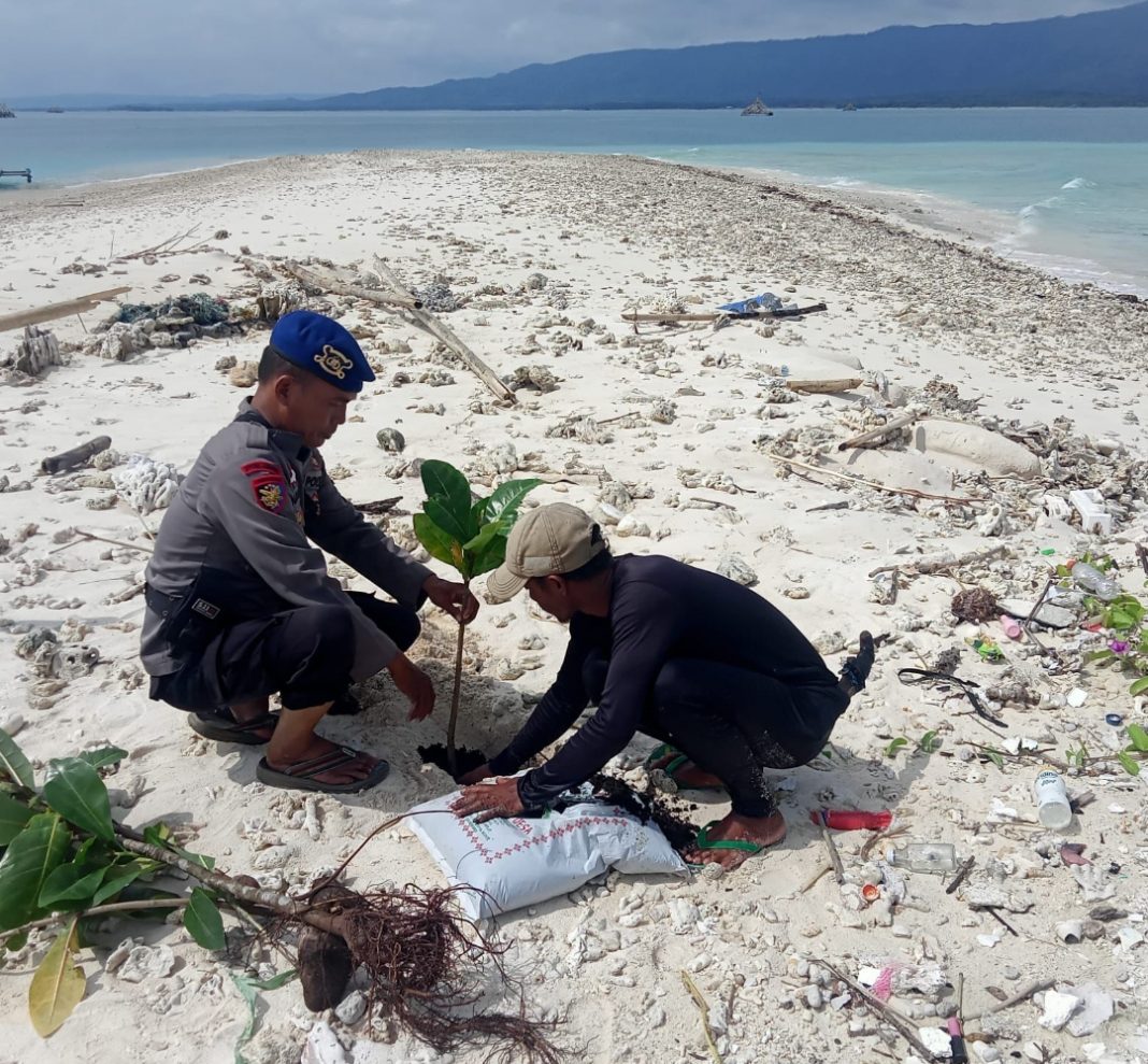 Lestarikan Biota Laut, Dirpolairud Polda Banten Tanam Pohon di Pesisir Pantai Ketapang