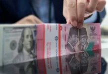 Cadangan Devisa RI Susut ke Level Terendah sejak Juli 2024, BI Kebut Stabilkan Rupiah Cadangan Devisa RI Susut ke Level Terendah sejak Juli 2024, BI Kebut Stabilkan Rupiah