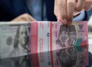 Cadangan Devisa RI Susut ke Level Terendah sejak Juli 2024, BI Kebut Stabilkan Rupiah Cadangan Devisa RI Susut ke Level Terendah sejak Juli 2024, BI Kebut Stabilkan Rupiah