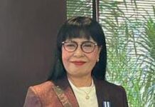 Prof Aarce: Film “Pesta Babi” Jadi Alarm Keseimbangan Pembangunan Papua