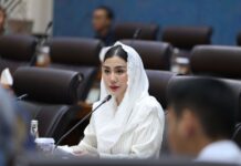 Novita Hardini: Jangan Jadikan Penambahan Layar Bioskop Sebagai Solusi Instan di Tengah Lemahnya Daya Beli Masyarakat Novita Hardini: Jangan Jadikan Penambahan Layar Bioskop Sebagai Solusi Instan di Tengah Lemahnya Daya Beli Masyarakat