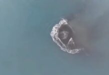 Dipastikan Bukan ‘Cucu Krakatau’, Ini Asal-Usul Daratan Baru 32,8 Hektare di Sekitar Anak Krakatau