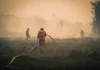 32 Perusahaan Pembakar Hutan Hanya Kena Sanksi Administratif, Komisi II: Negara Jangan Takut Hadapi Korporasi